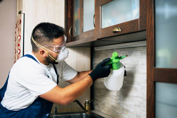 Best Mosquito Control Services  in West University Place, TX