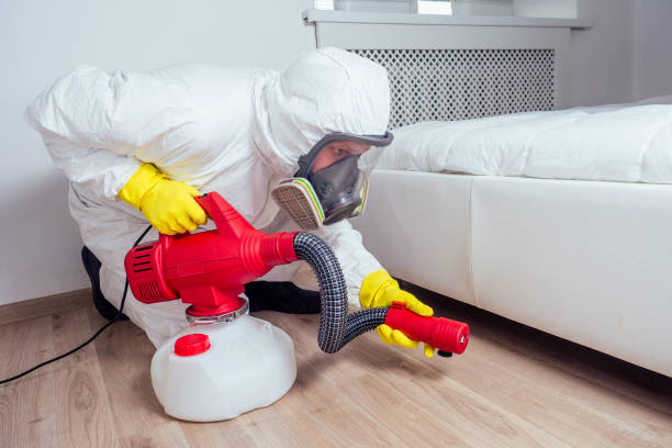 Best Affordable Pest Control Services  in West University Place, TX