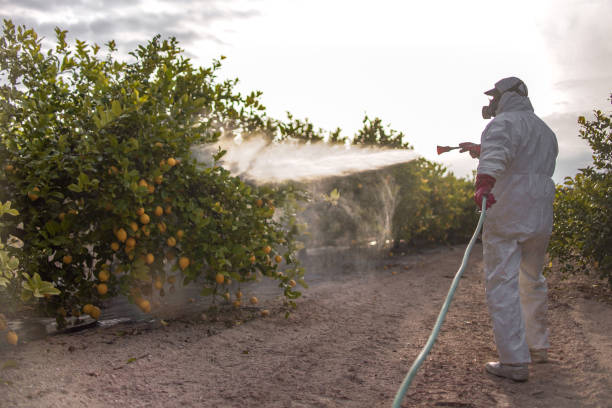 Best Mosquito Control Services  in West University Place, TX
