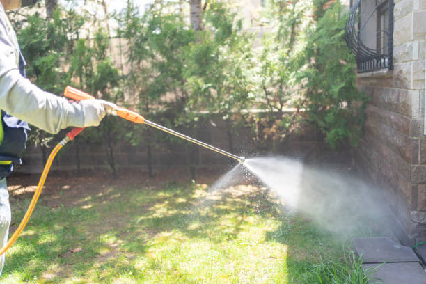 Best Pest Control Near Me  in West University Place, TX