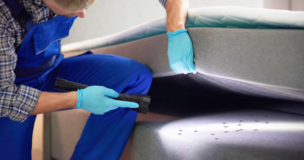 Best Best Pest Control Companies  in West University Place, TX