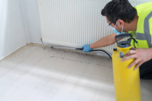 Best Affordable Pest Control Services  in West University Place, TX